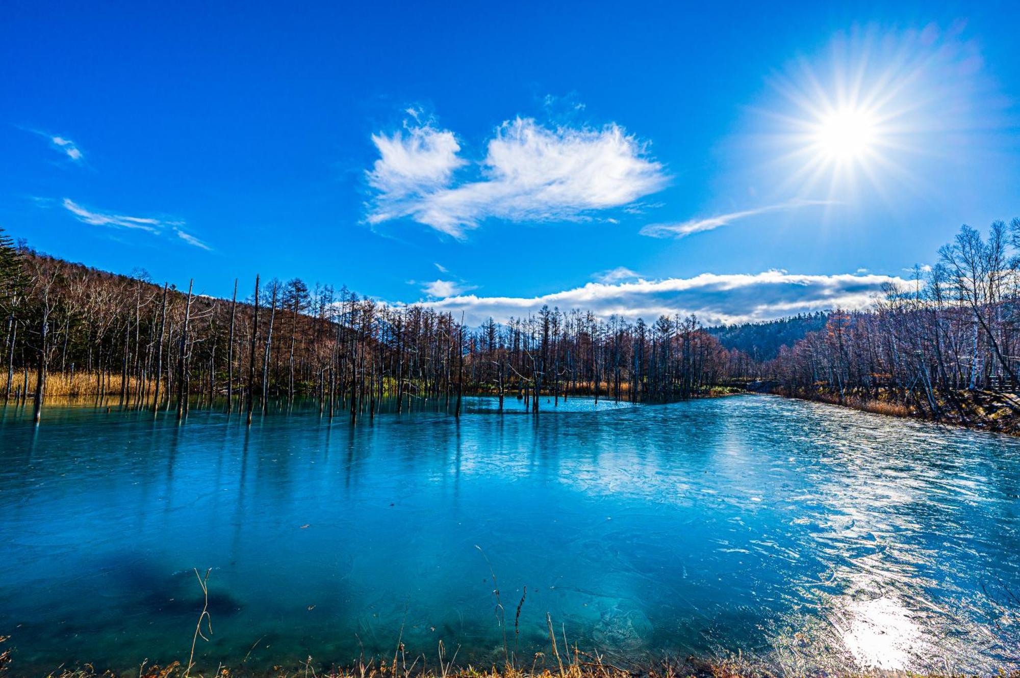 Biei Shirogane Onsen Hotel Park Hills מראה חיצוני תמונה