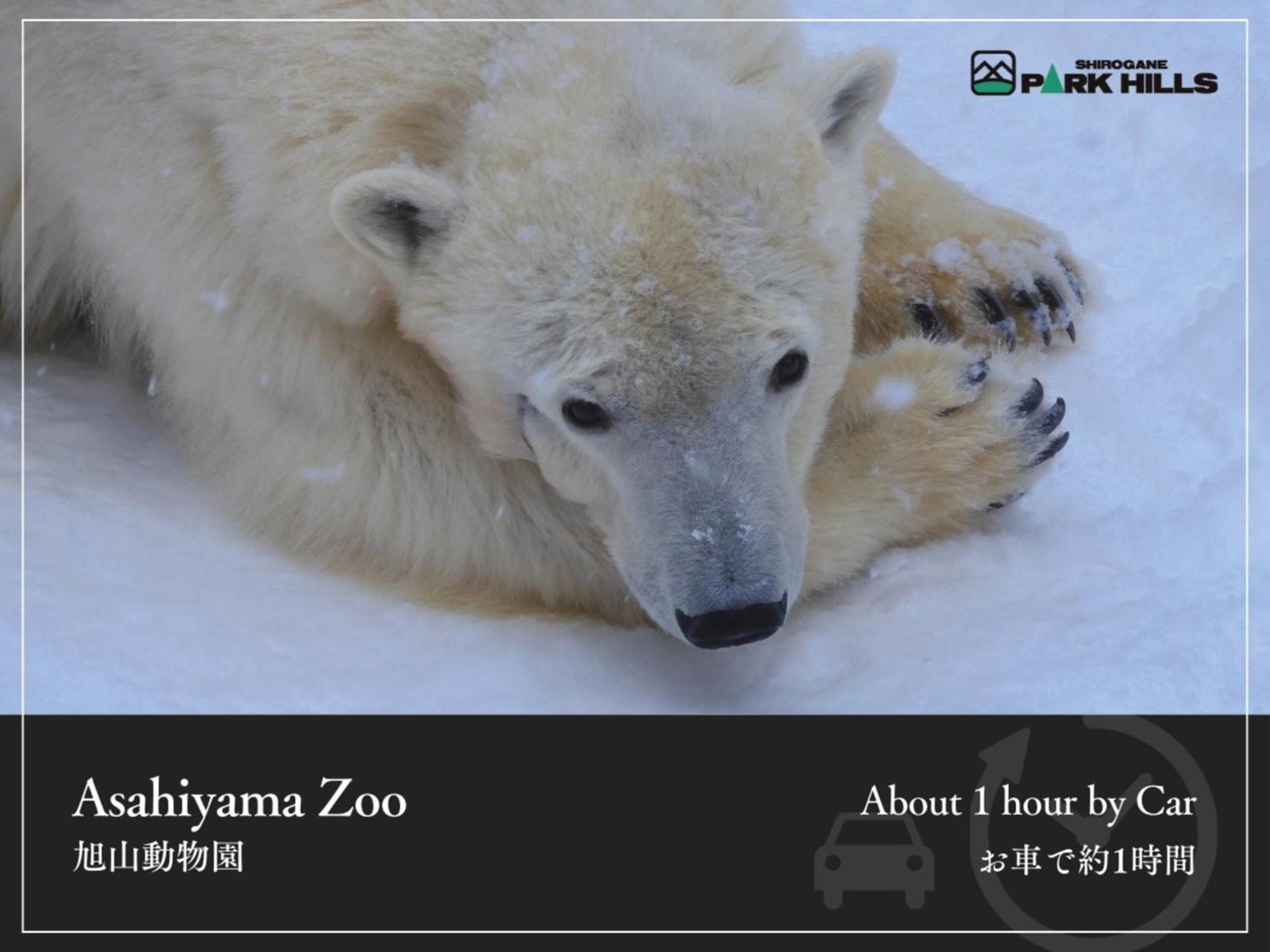 Biei Shirogane Onsen Hotel Park Hills מראה חיצוני תמונה