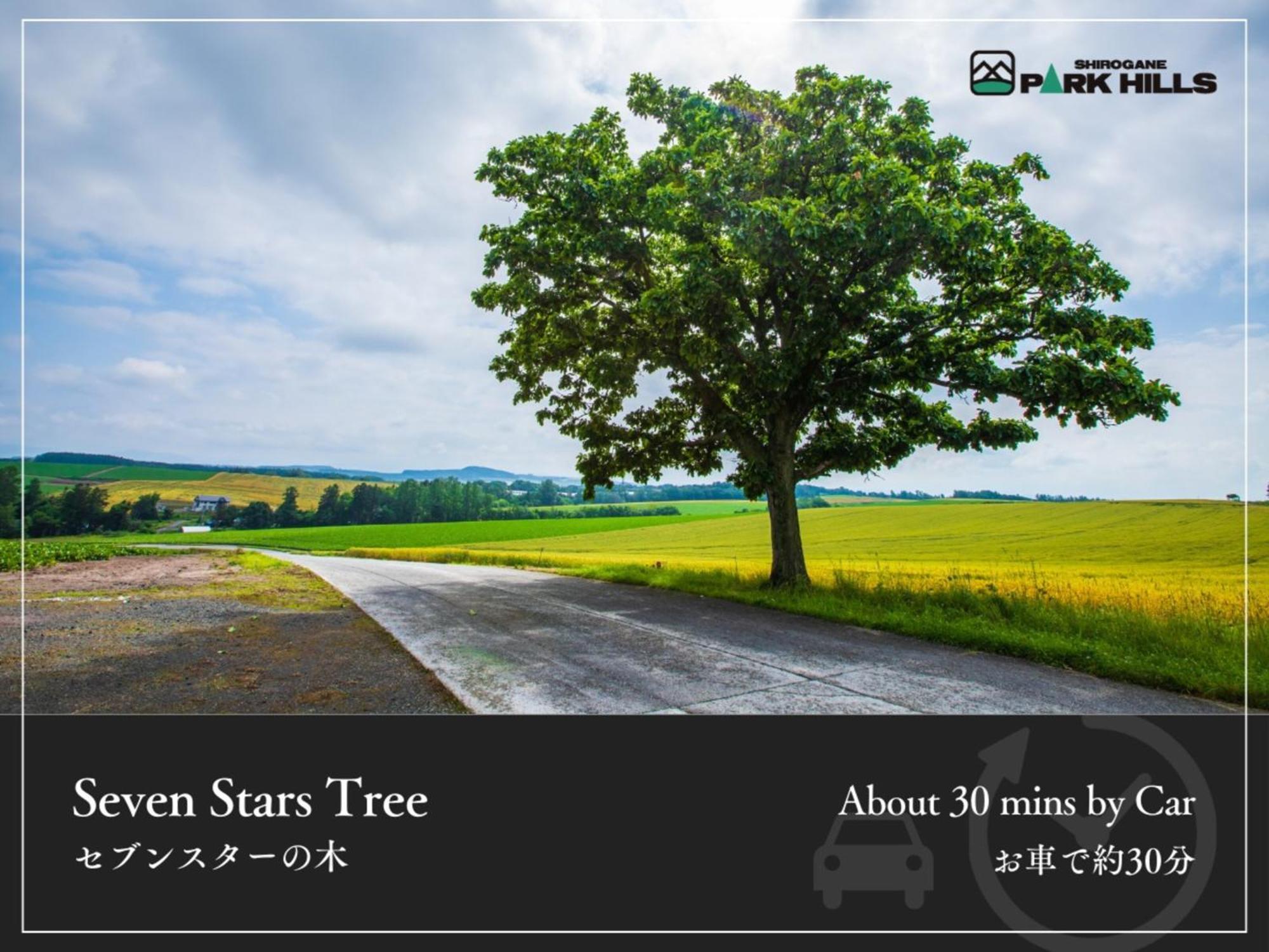 Biei Shirogane Onsen Hotel Park Hills מראה חיצוני תמונה